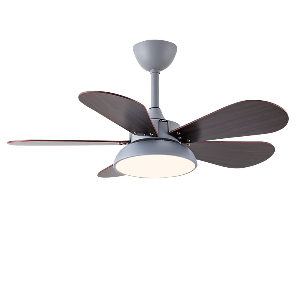 Creative Aircraft Shaped 6 Gear Frequency Conversion Led Ceiling Fan With Light 1