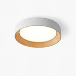 Calen Minimalist Ceiling Lamp