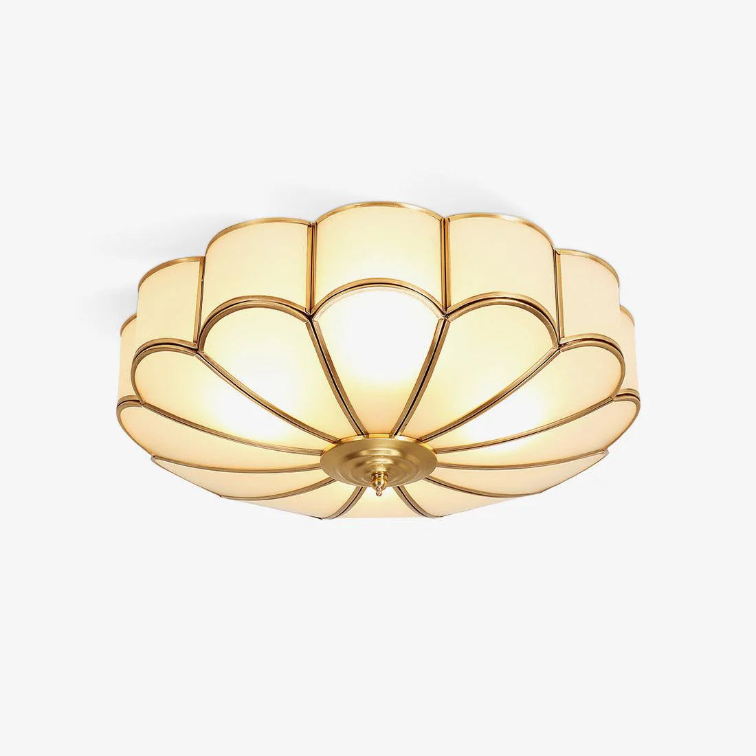 Florabeam Ceiling Light