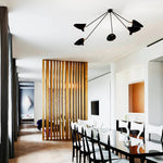 Celestial Curve Ceiling Light