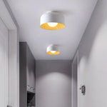 Terraglow Ceiling Light