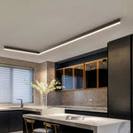 Modern Minimalist Ceiling Lamp
