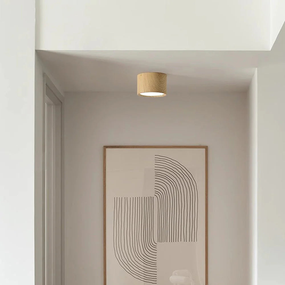 Macaroon Style Led Ceiling Light