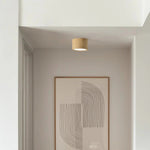 Macaroon Style Led Ceiling Light