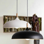 Modern Simple Dome Pendant Light