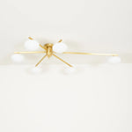Jasperglow Ceiling Light