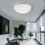 Aurora Shell Ceiling Light