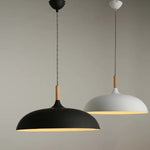Modern Simple Dome Pendant Light