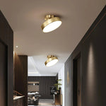 Axiom Rotating Ceiling Light