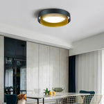 Lumen Arc Ceiling Lamp