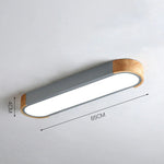 Modern Zenith Ceiling Light