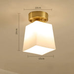 American Style Led Minimalist Modern Entry Ceiling Light