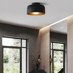 Terraglow Ceiling Light