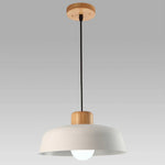 Nordic Toned Metal Pendant Light