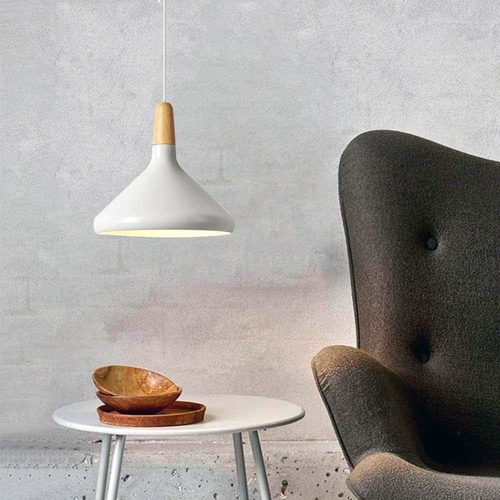 Vivid Cone Modern Pendant Light