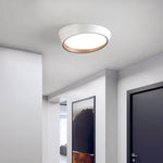 Maple Glow Ceiling Light