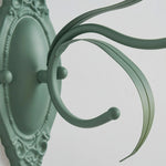 Vela Curve Edge Wall Light