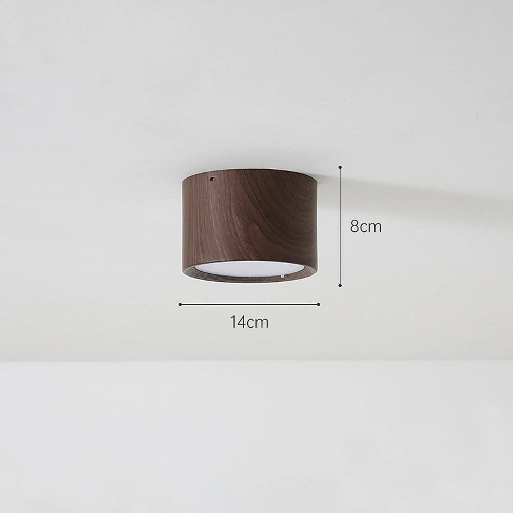 Macaroon Style Led Ceiling Light