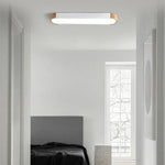 Modern Zenith Ceiling Light