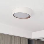 Maple Glow Ceiling Light