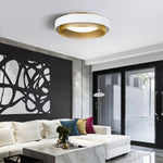 Lumen Arc Ceiling Lamp