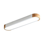 Modern Zenith Ceiling Light