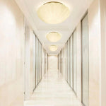 Aurora Shell Ceiling Light