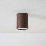 Macaroon Style Led Ceiling Light