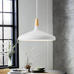 Vivid Cone Modern Pendant Light