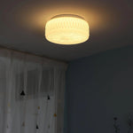 Arden Ceiling Light