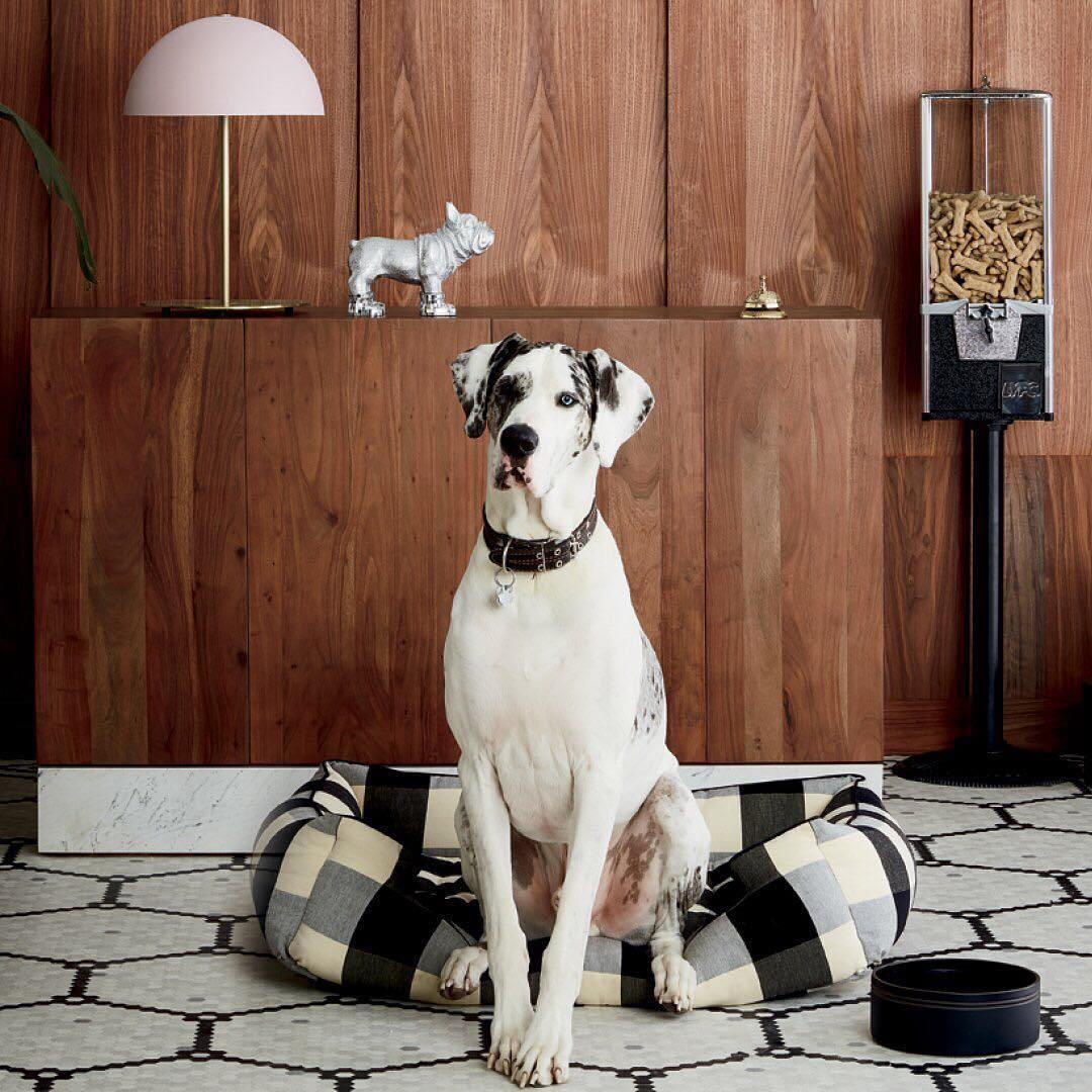 Eloise Table Light