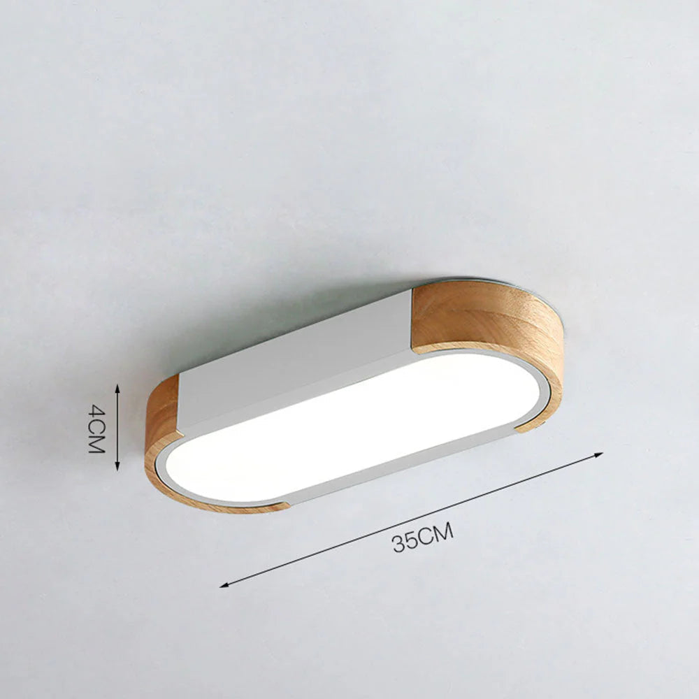 Modern Zenith Ceiling Light