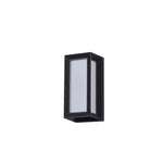 Tli00307