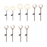 Dandelion Solar Pathway Lights Set of 10 for Modern Gardens