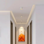 Lumepoint Ceiling Light