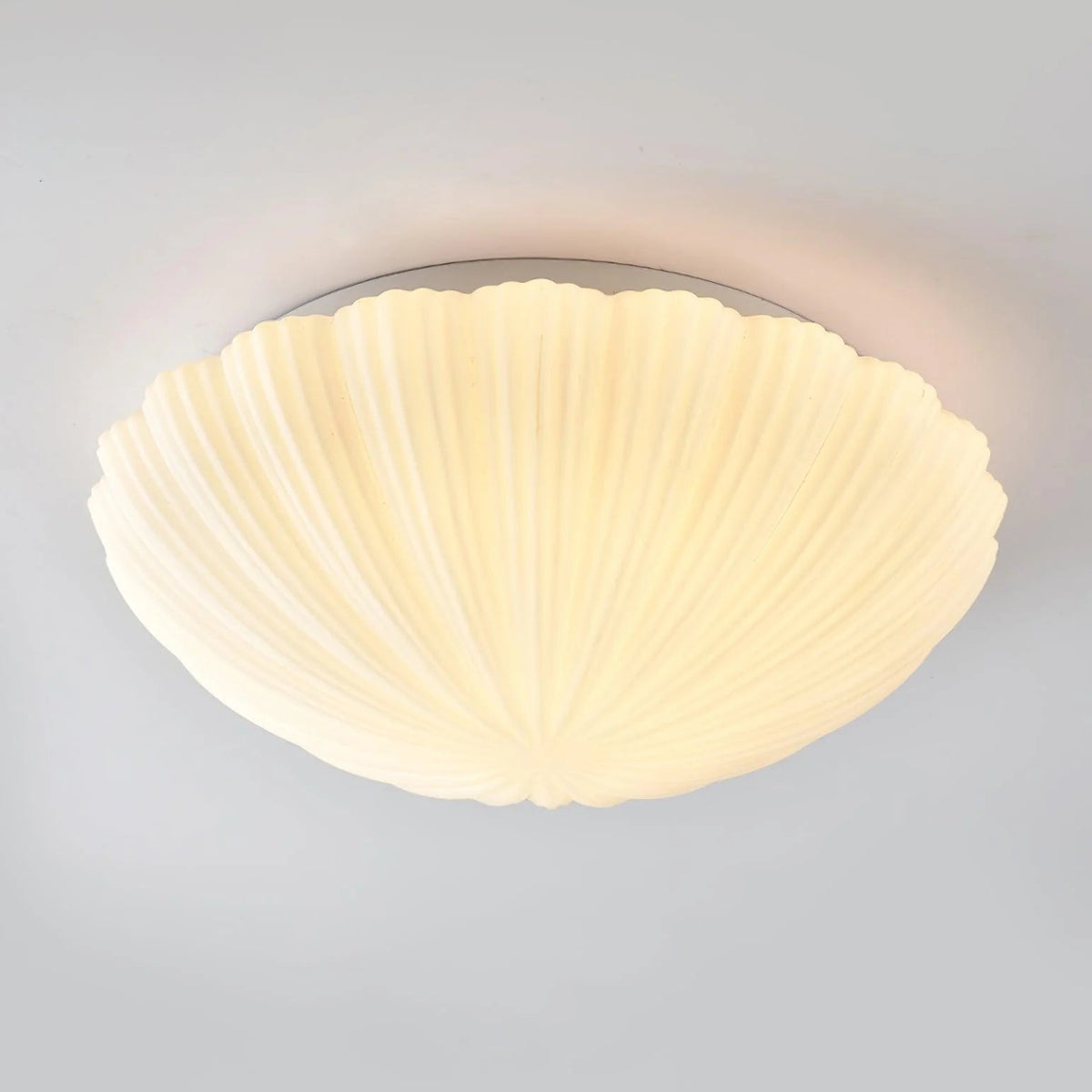 Aurora Shell Ceiling Light