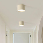 Macaroon Style Led Ceiling Light