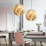 Irregular Pendant Light Ha082160