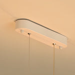 Long Strip Modern Pendant Light Ha083604