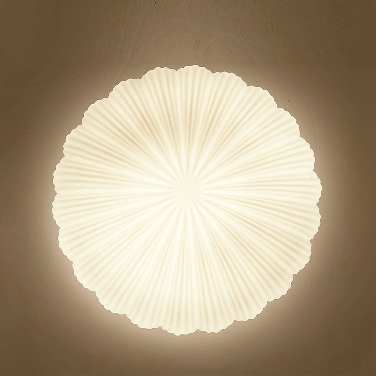 Aurora Shell Ceiling Light