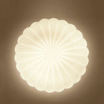 Aurora Shell Ceiling Light
