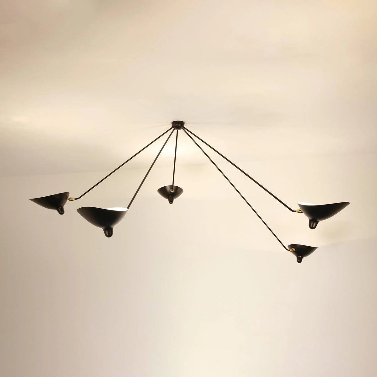 Celestial Curve Ceiling Light