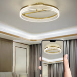 Round Gold Modern Ceiling Lamp Li001958