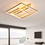 Square Double Frame Ceiling Light Ha083289