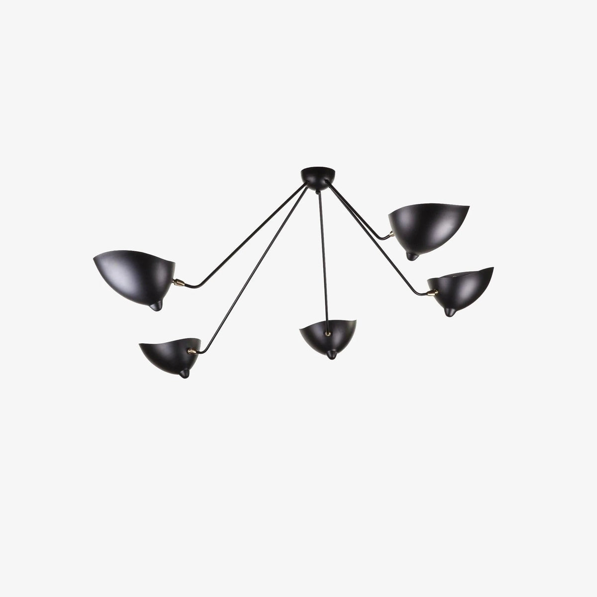 Celestial Curve Ceiling Light