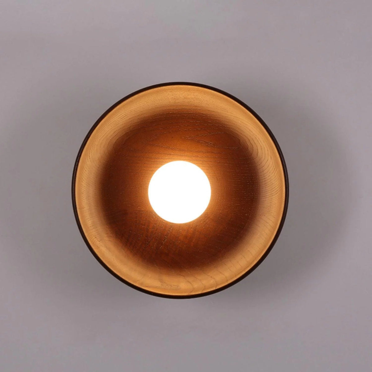 Vector Wall Fixture