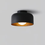 Terraglow Ceiling Light