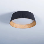 Ripple Flush Ceiling Light
