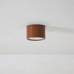 Macaroon Style Led Ceiling Light