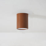 Macaroon Style Led Ceiling Light
